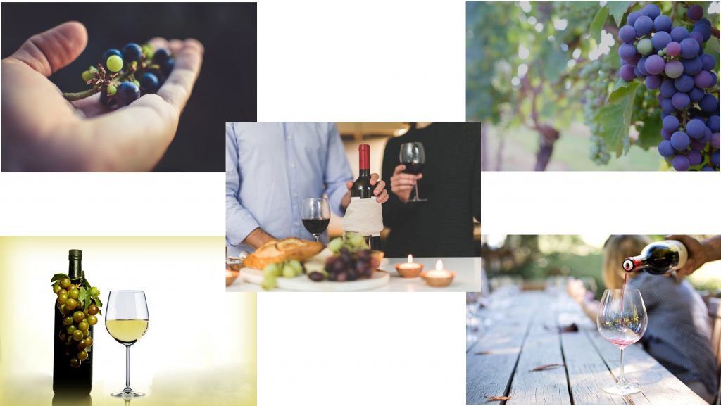 organic wine